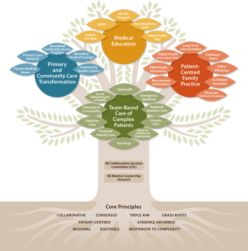 Projects | Divisions Of Family Practice